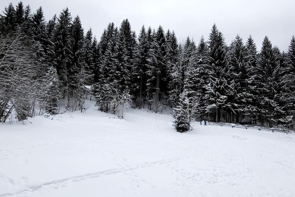 Cocon A Châtel Extérieur photo